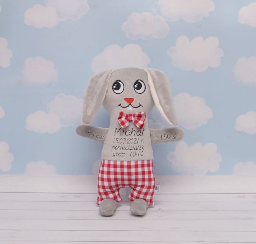 Metryczka Szary Królik w spodenkach