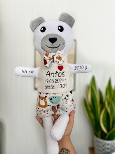 Chłopiec Biały Miś  w bluzeczce - Metryczka wzrostu dziecka